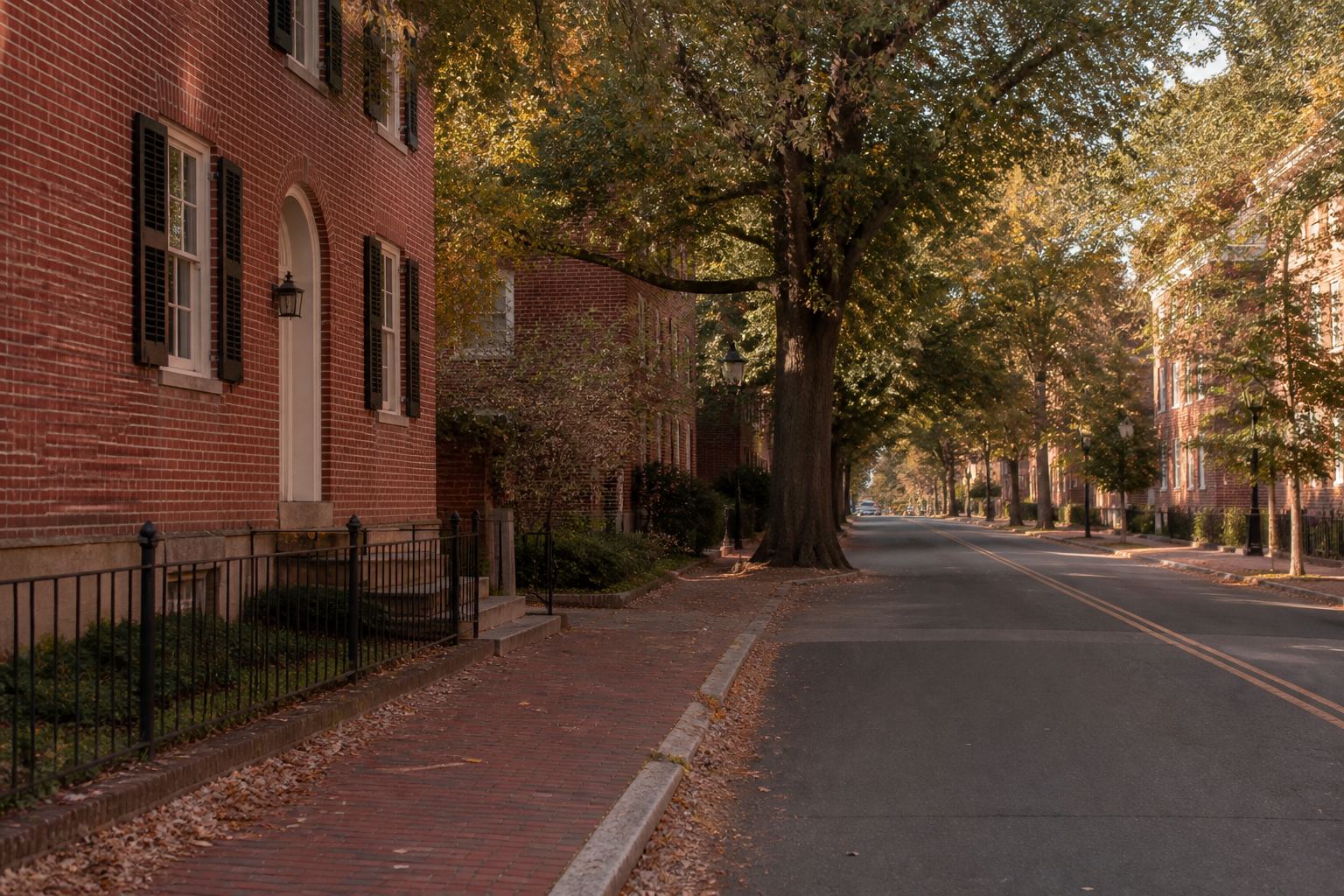 Quiet brick street in warm afternoon light